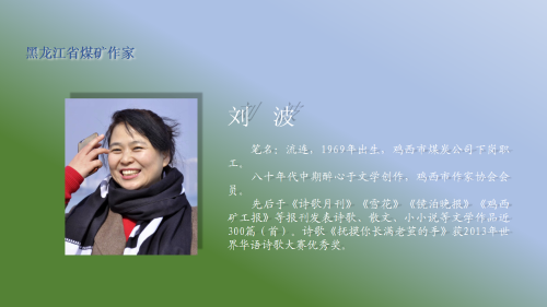 劉波 名片